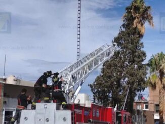 Bomberos retiran pino caído sobre vivienda y tendido eléctrico en colonia Mirador