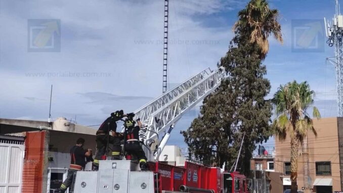 bomberos-retiran-pino-caido-sobre-vivienda-y-tendido-electrico-en-colonia-mirador.jpeg Bomberos retiran pino caído sobre vivienda y tendido eléctrico en colonia Mirador
