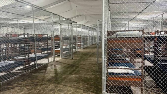 Sheinbaum exigirá que mexicanos detenidos en EE.UU. no pisen ‘ Alligator Alcatraz ‘