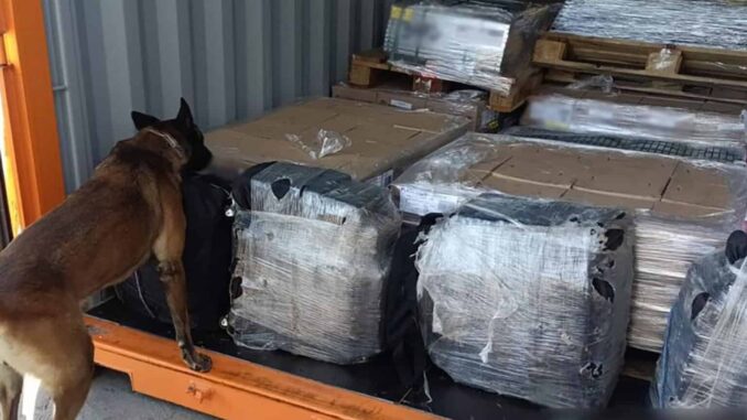 Aseguran 200 kilos de cocaína en Aduana de Ensenada, Baja California