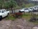 Secuestran a joven baleado que era trasladado en ambulancia a Parral; lo ejecutan