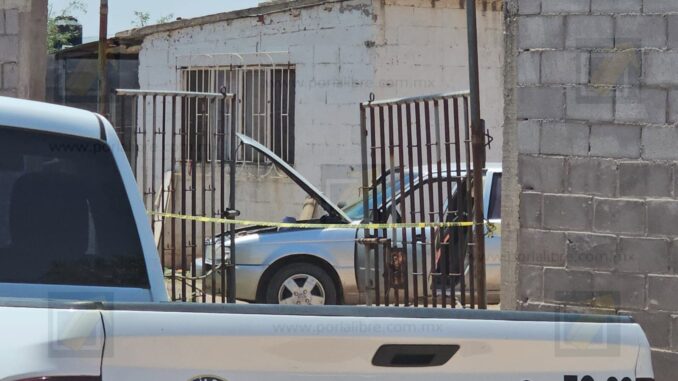 detienen-a-hombre-por-intento-de-agresion-con-un-arma-en-granja-de-la-carretera-a-aldama.jpeg Detienen a hombre por intento de agresión con un arma en granja de la carretera a Aldama