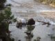 Muere queretana por inundaciones en Texas