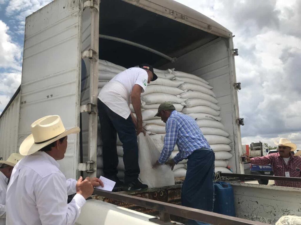 Entrega Gobierno del Estado 14 toneladas de semilla de avena a productores de la zona sur