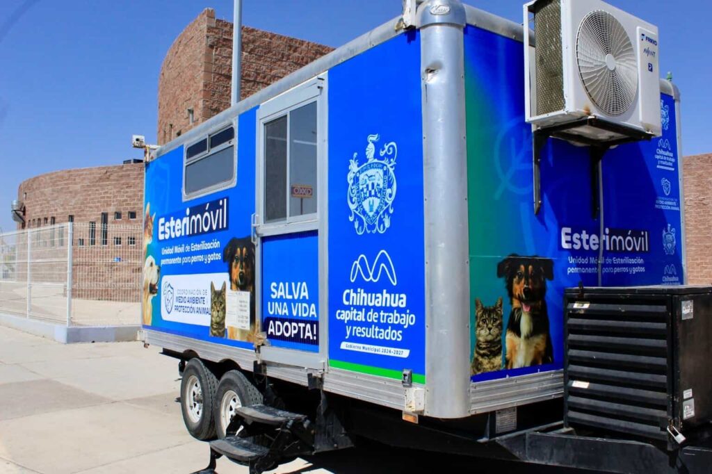 Conoce las fechas para esterilizar a tu mascota en el Esterimóvil de Municipio