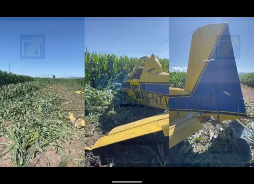 Avioneta se desploma durante labores de fumigación en Bachíniva