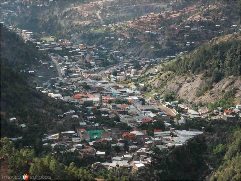 Ejecutan a uno en vivienda de Guadalupe y Calvo