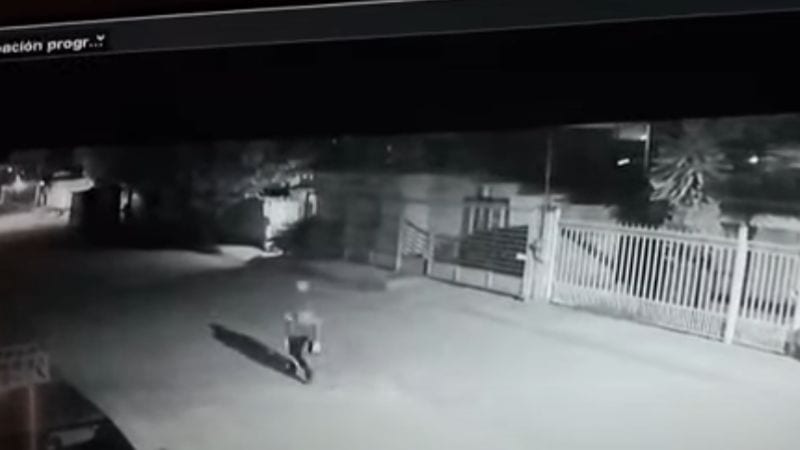 Buscan al sujeto que prendió fuego a perrito tras rociarlo con gasolina en la Villa Juárez