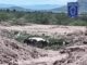 Recupera Fiscalía Zona Centro 14 cabezas de ganado robadas en Tabalaopa