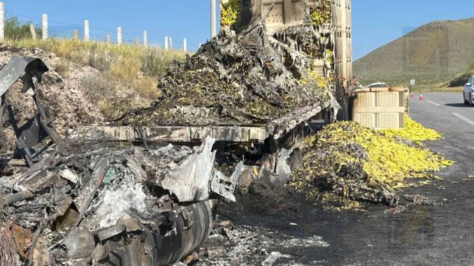 se-incendia-trailer-cargado-con-chile-guerito-en-la-carretera-chihuahua-delicias.jpeg Se incendia tráiler cargado con chile güerito en la carretera Chihuahua–Delicias