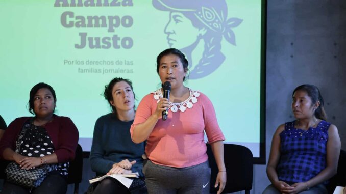 la-exclusion-y-la-precariedad-laboral-persisten-en-el-campo-denuncian-jornaleras-de-guerrero.jpg La exclusión y la precariedad laboral persisten en el campo, denuncian jornaleras de Guerrero