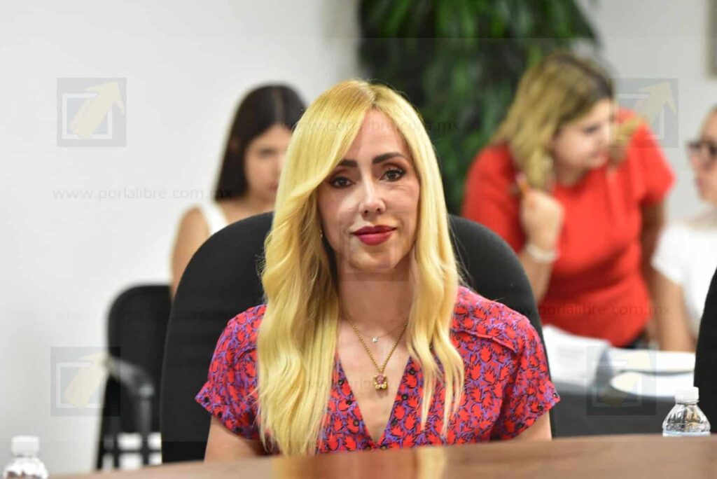 Brenda Ríos propone crear un Micrositio de Seguimiento al Crédito Municipal de Chihuahua
