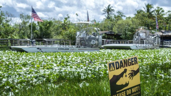 everglades-de-oasis-de-naturaleza-a-desafio-del-centro-migratorio-alligator-alcatraz.jpg Everglades, de oasis de naturaleza a desafío del centro migratorio ‘Alligator Alcatraz’