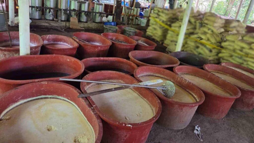 Inhabilitan laboratorio de metanfetamina en Chiapas y decomisan droga en Guerrero