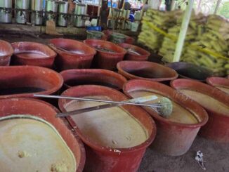 Inhabilitan laboratorio de metanfetamina en Chiapas y decomisan droga en Guerrero