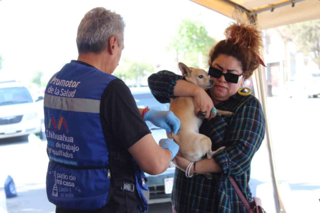 Municipio da a conocer los síntomas de la rickettsia y cómo prevenirla