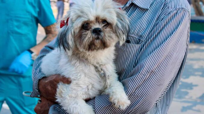 hoy-en-el-parque-el-platanito-servicios-gratis-para-tus-mascotas.jpeg HOY, en el parque El Platanito servicios gratis para tus mascotas