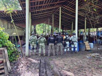 Inhabilitan laboratorio en Palenque, Chiapas; aseguran 900 kilogramos de metanfetaminas
