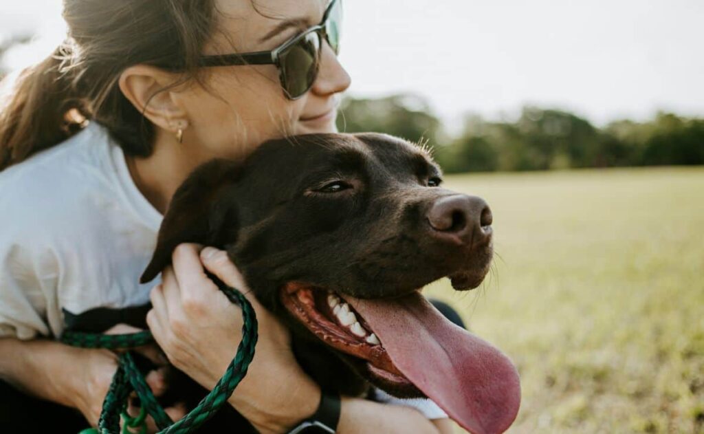 Aprueban custodia compartida de mascotas en caso de divorcio, ¿en dónde?
