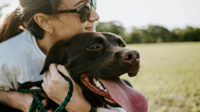 aprueban-custodia-compartida-de-mascotas-en-caso-de-divorcio-en-donde.jpg Aprueban custodia compartida de mascotas en caso de divorcio, ¿en dónde?