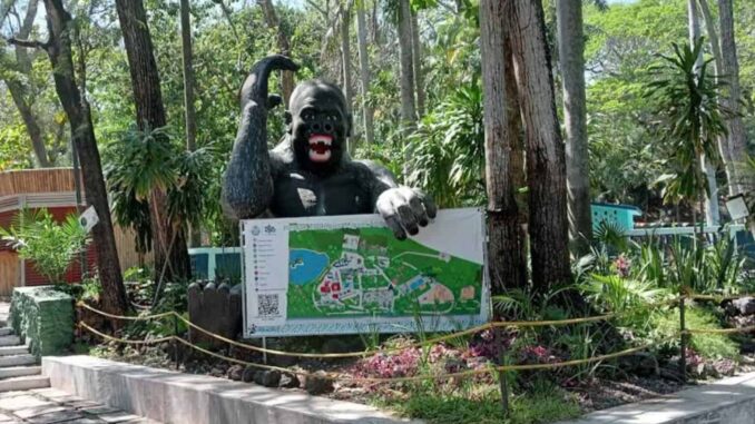 investigan-presunto-robo-de-cocodrilo-en-zoologico-de-veracruz.jpg Investigan presunto robo de cocodrilo en zoológico de Veracruz