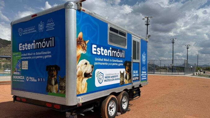 quieres-esterilizar-a-tu-mascota-agenda-cita-en-el-esterimovil-de-municipio.jpeg ¿Quieres esterilizar a tu mascota? Agenda cita en el Esterimóvil de Municipio