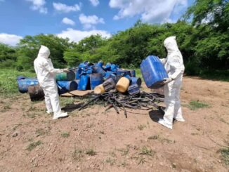 Inhabilitan siete laboratorios clandestinos en Sinaloa
