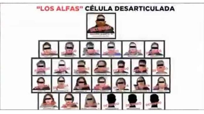 los-alfas-toluca-edomex-detenidos-696x429.jpg