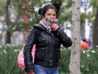 ¿Cuántos frentes fríos se prevén en la temporada 2025-2026? SMN lo revela