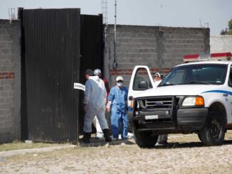 Homicidios en México disminuyen 32 % desde el inicio de la Administración de Claudia Sheinbaum
