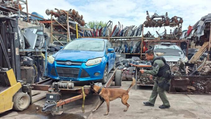 realizan-celulas-boi-supervisiones-en-yonkes-para-descartar-irregularidades-y-uso-de-sustancias-nocivas.jpeg Realizan células BOI supervisiones en yonkes para descartar irregularidades y uso de sustancias nocivas