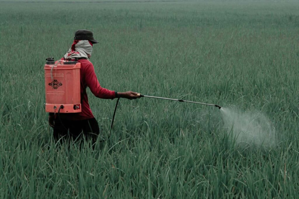 Gobierno de México prohíbe 35 plaguicidas peligrosos
