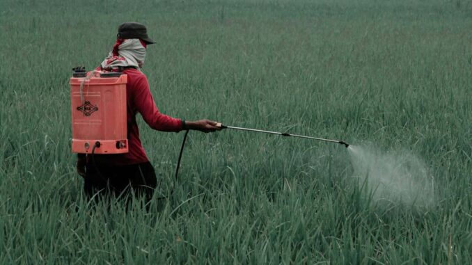 gobierno-de-mexico-prohibe-35-plaguicidas-peligrosos.jpg Gobierno de México prohíbe 35 plaguicidas peligrosos