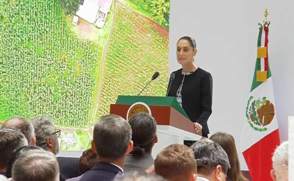 Primer Informe de Gobierno de Claudia Sheinbaum Pardo