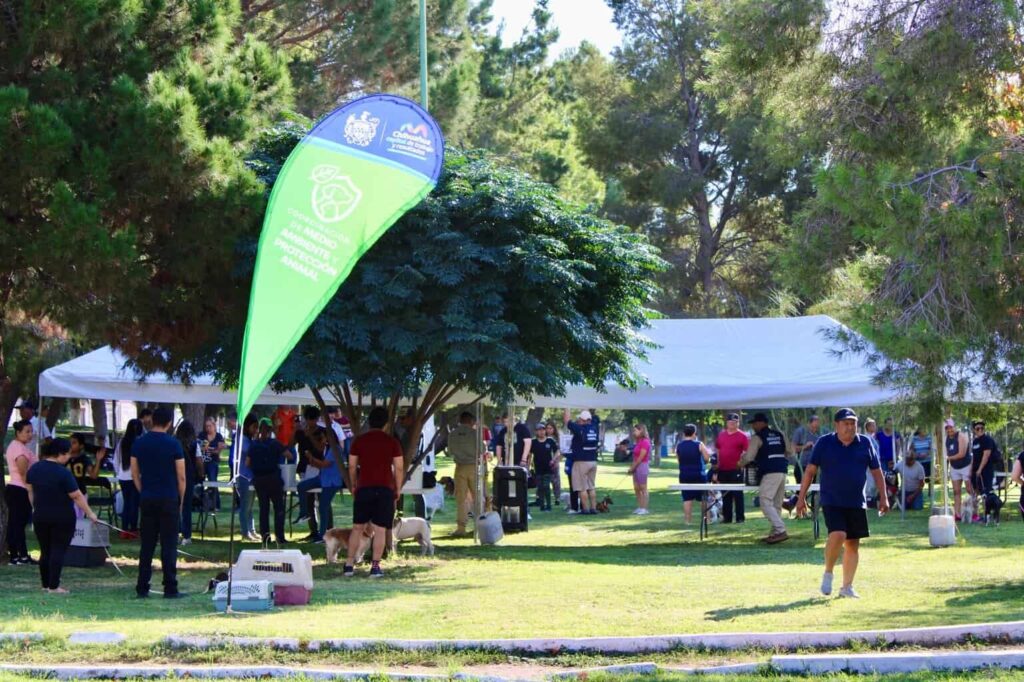 Mañana sábado invitan a jornada de servicios para mascotas en colonia Villa Juárez