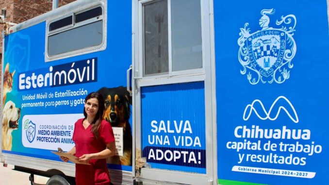 atendera-esterimovil-de-municipio-a-perros-y-gatos-en-centro-comunitario-chihuahua-2000.jpeg Atenderá Esterimóvil de Municipio a perros y gatos en centro comunitario Chihuahua 2000