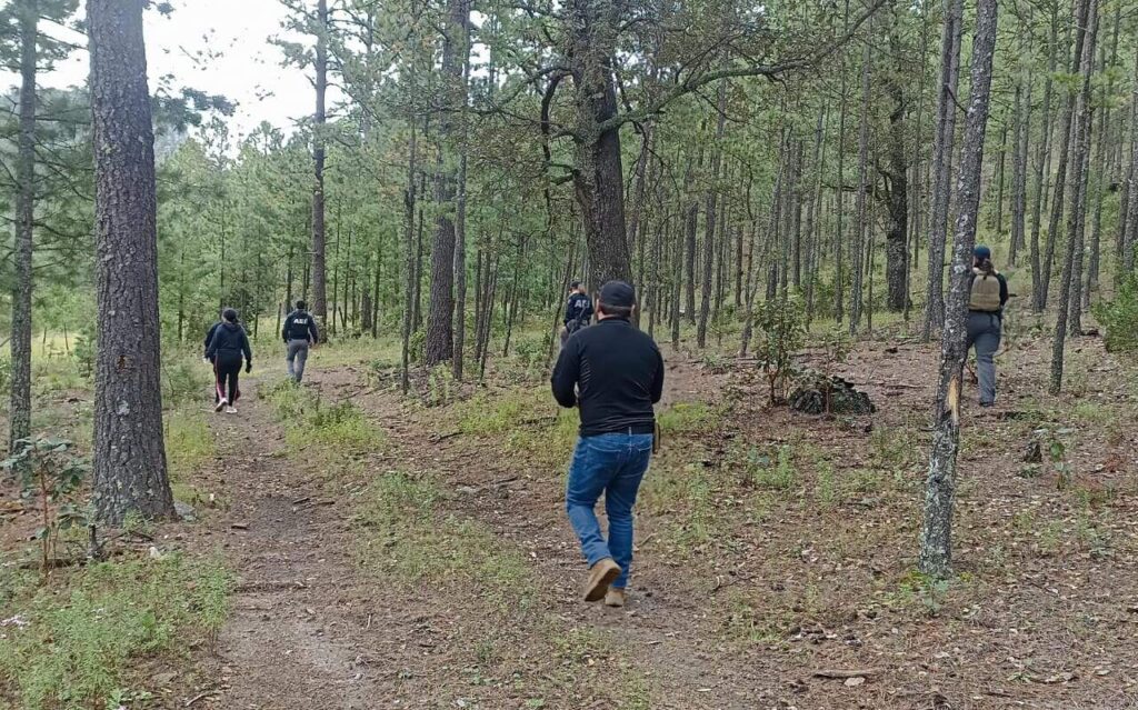 Localiza FGE restos óseos durante rastreo en Balleza