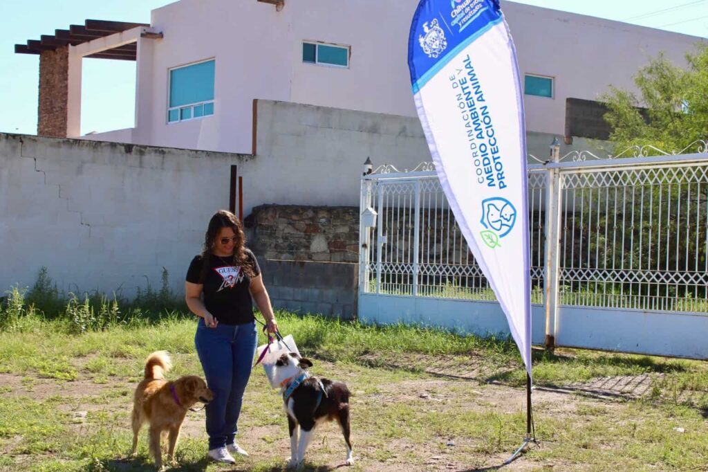 Acercó Municipio más de 500 servicios gratuitos para mascotas en Labor de Terrazas