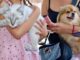 ¡Cuida a tu mascota de la pirotecnia! emite Municipio recomendaciones por fiestas patrias