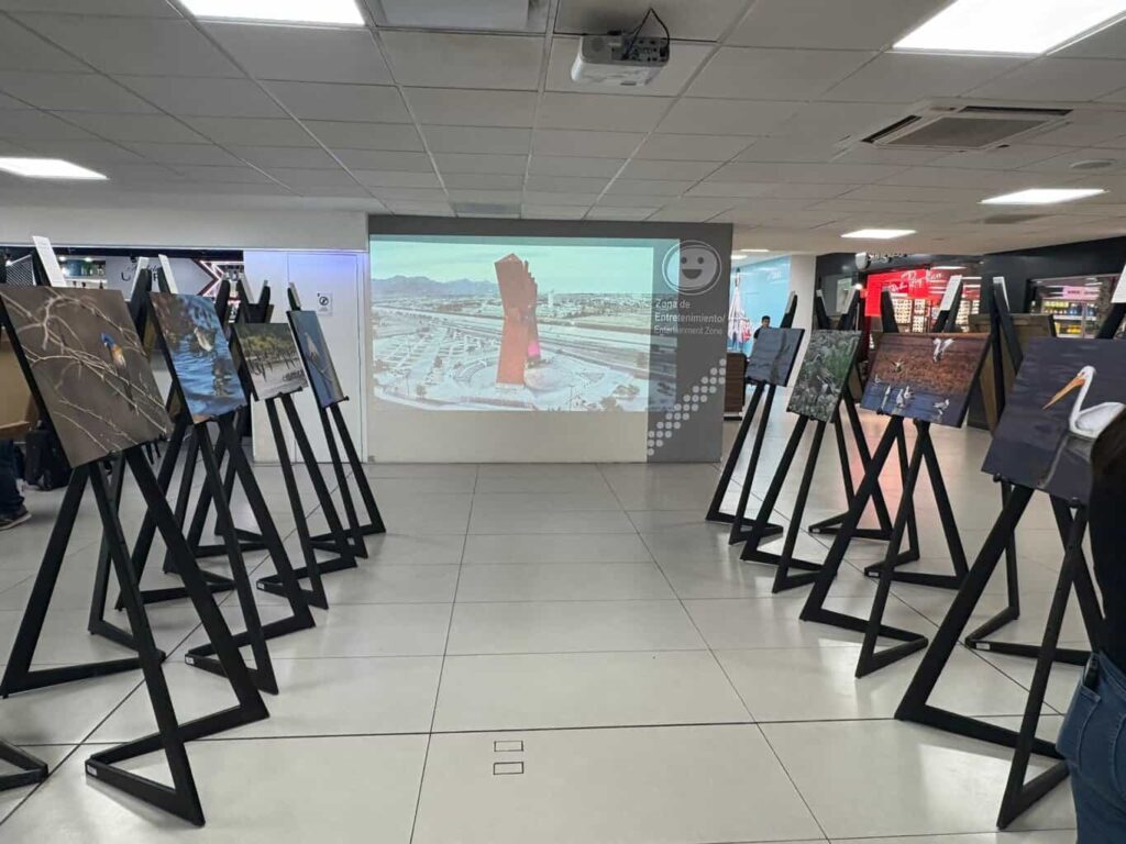 Municipio presenta exposición “Alas que vuelan con el viento” en el Aeropuerto Internacional de Chihuahua