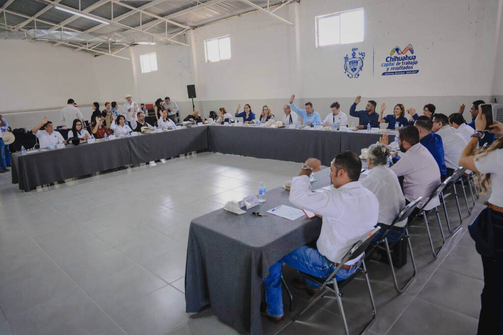 Aprueba Cabildo convocatoria para renovación de Consejo Consultivo de Participación Ciudadana