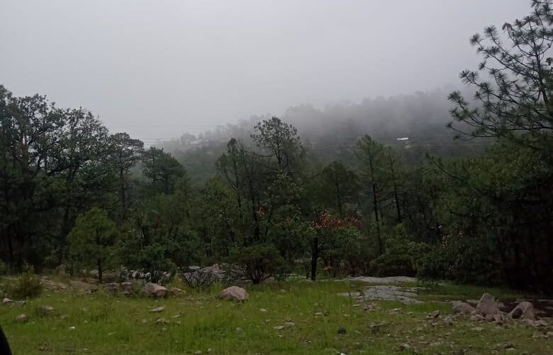 Se mantiene alerta ante pronóstico de lluvias fuertes para este domingo