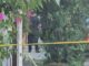 Determinará FGE causa de muerte del hombre que estaba siendo detenido por violencia familiar