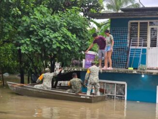 Lluvias ocasionan 44 muertes; ¿cuáles son los estados más afectados?