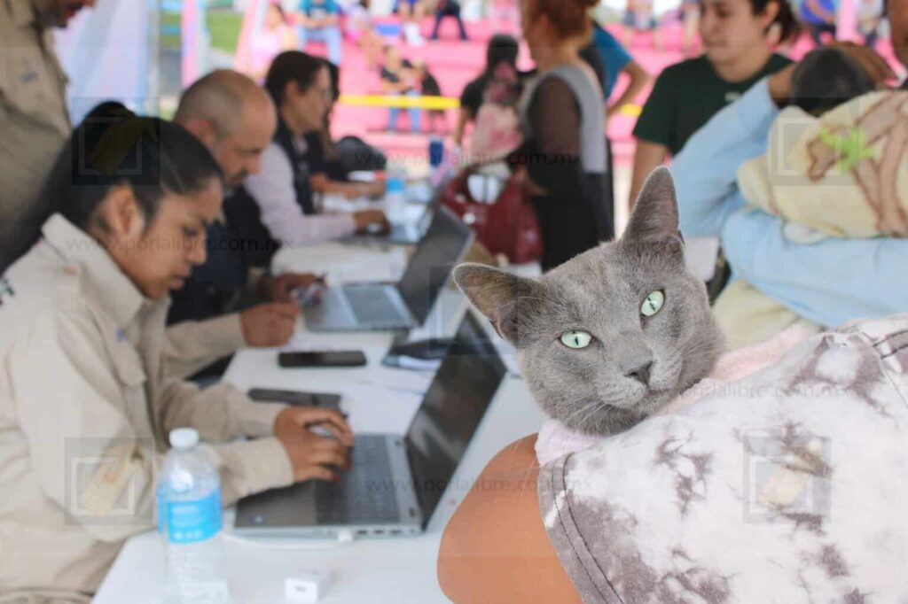 Llevará Gobierno Municipal servicios de salud para mascotas a la colonia Nombre de Dios