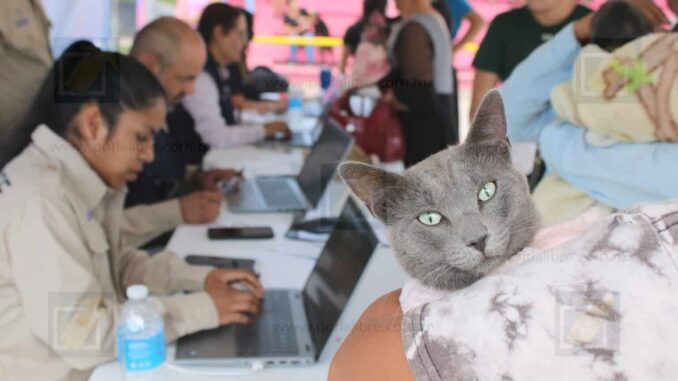 llevara-gobierno-municipal-servicios-de-salud-para-mascotas-a-la-colonia-nombre-de-dios.jpeg Llevará Gobierno Municipal servicios de salud para mascotas a la colonia Nombre de Dios