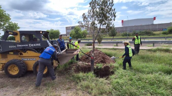 concluye-reubicacion-de-arboles-en-la-zona-de-construccion-del-paso-superior-vialidad-nogales-e-industrias.jpeg Concluye reubicación de árboles en la zona de construcción del Paso Superior Vialidad Nogales e Industrias