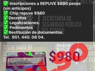 Alertan por falsos trámites de REPUVE