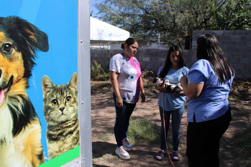 Esteriliza Gobierno Municipal a 48 mascotas durante jornada de salud en Labor de Terrazas