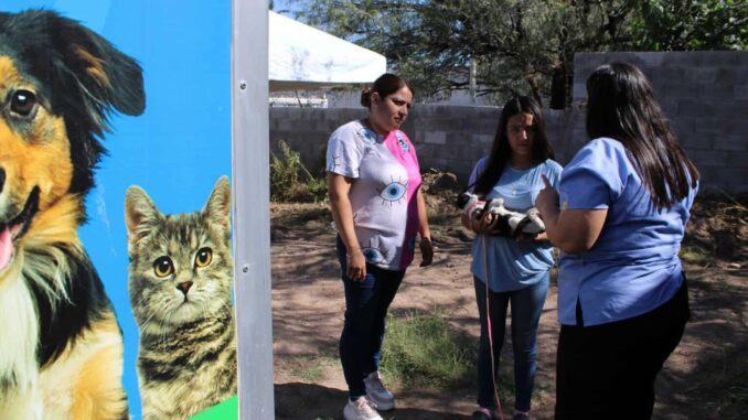 esteriliza-gobierno-municipal-a-48-mascotas-durante-jornada-de-salud-en-labor-de-terrazas.jpeg Esteriliza Gobierno Municipal a 48 mascotas durante jornada de salud en Labor de Terrazas